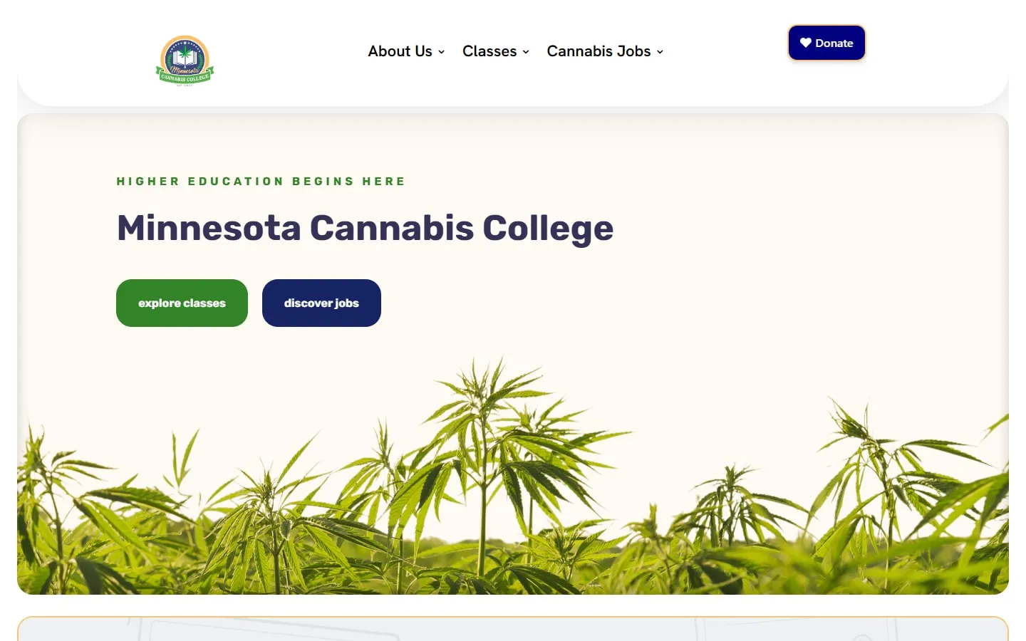The Minnesota Cannabis College home page: "Higher education begins here" with buttons to explore classes and discover jobs, above a field of cannabis plants.